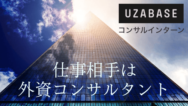 【完全図解】外コン・メガバンを相手に、データ作成/CSに取り組むインターンに迫る